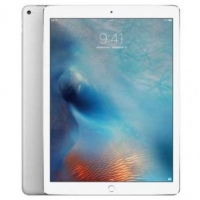 Apple iPad Pro Wi-Fi (256GB, 12.9 inch)